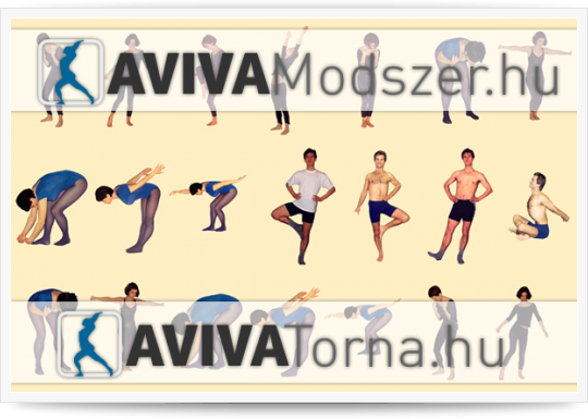 AVIVA torna, AVIVA módszer
