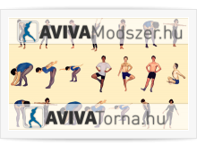 AVIVA torna, AVIVA módszer
